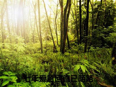 沈黎川蒋清菀小说-《七年爱意回首已陌路》完整章节阅读无弹窗免费阅读大结局