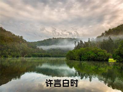 （免费）+（全文）许言白时（许言白时）免费阅读最新章节无弹窗许言白时完整版小说在线阅读