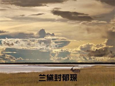 兰黛封郁琛（兰黛封郁琛）全文小说免费阅读-兰黛封郁琛最新章节列表_笔趣阁