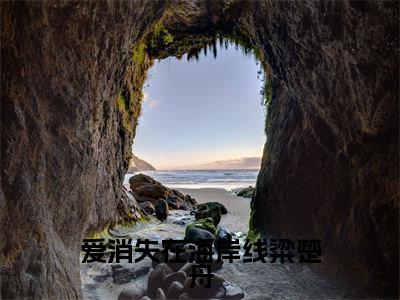 爱消失在海岸线粱楚舟（沈晚棠粱楚舟）小说全文免费阅读无弹窗大结局_爱消失在海岸线粱楚舟（沈晚棠粱楚舟）最新章节列表
