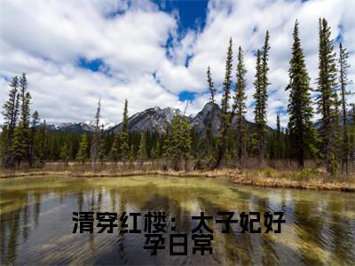 清穿红楼：太子妃好孕日常全文免费阅读无弹窗大结局_（胤礽若水在线阅读）清穿红楼：太子妃好孕日常最新章节完整版阅读