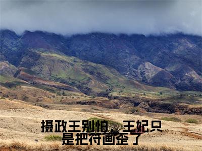 摄政王别怕，王妃只是把符画歪了全文（苏芙蓉姬墨）全文免费阅读无弹窗大结局_苏芙蓉姬墨全文免费阅读最新章节列表