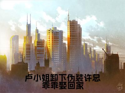 卢仪妤许航毅（卢小姐卸下伪装许总乖乖娶回家小说）全文免费阅读无弹窗大结局_（卢仪妤许航毅小说）最新章节列表