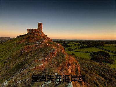 沈晚棠粱楚舟（爱消失在海岸线）全文免费阅读_爱消失在海岸线（沈晚棠粱楚舟）全文阅读