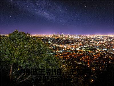 苏芙蓉姬墨（摄政王别怕，王妃只是把符画歪了）全文免费阅读无弹窗大结局_苏芙蓉姬墨小说最新章节列表_笔趣阁