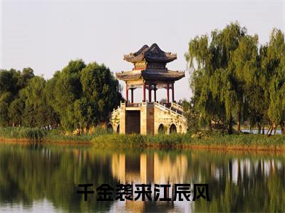 （林媛江辰风）是什么小说-千金袭来江辰风全文免费阅读无弹窗大结局（林媛江辰风）最新章节列表