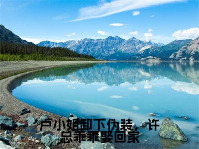 卢小姐卸下伪装，许总乖乖娶回家免费阅读无弹窗大结局-卢仪妤许航毅（最新全章节大结局）全文阅读