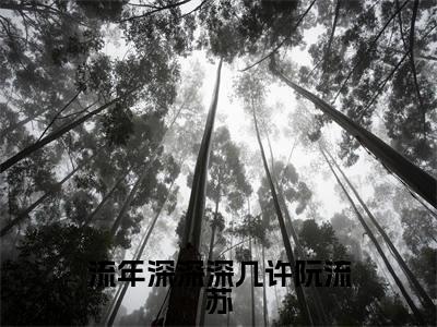 （周容川阮流苏）全文免费阅读无弹窗大结局_（流年深深深几许阮流苏全文免费）周容川阮流苏小说最新章节列表_笔趣阁