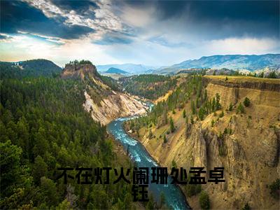 不在灯火阑珊处孟卓钰全文免费阅读大结局_顾宁辰孟卓钰已完结全集不在灯火阑珊处孟卓钰大结局小说