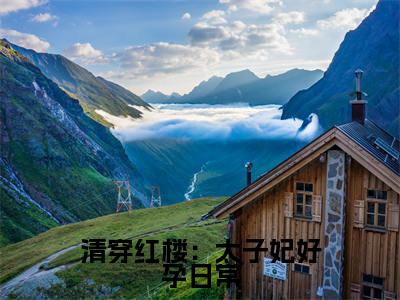 清穿红楼：太子妃好孕日常小说最新章节在线阅读_清穿红楼：太子妃好孕日常在线阅读