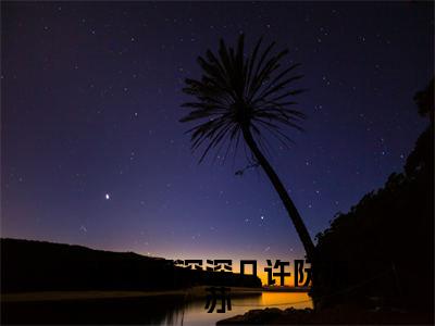 （周容川阮流苏）流年深深深几许阮流苏无弹窗免费阅读周容川阮流苏大结局无删阅读_笔趣阁