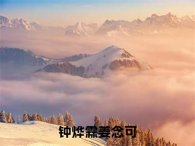 姜念可钟烨霖（钟烨霖姜念可）免费阅读无弹窗大结局-钟烨霖姜念可完整版最新阅读