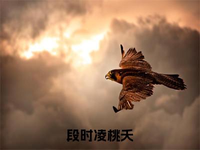 段时凌桃夭（桃夭段时凌）精选好书-桃夭段时凌无删减小说在线阅读（段时凌桃夭全文免费阅读）
