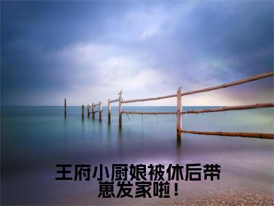 王府小厨娘被休后带崽发家啦！小说（梁清云傅盛江）全文免费阅读无弹窗大结局_梁清云傅盛江小说最新章节列表