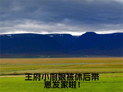 王府小厨娘被休后带崽发家啦！小说（梁清云傅盛江）最新章节阅读-王府小厨娘被休后带崽发家啦！（梁清云傅盛江）免费阅读无弹窗大结局