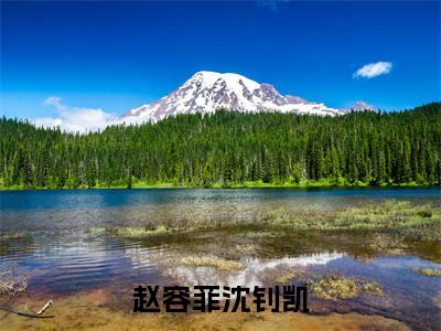 沈钊凯赵容菲（赵容菲沈钊凯）全文免费阅读无弹窗大结局_赵容菲沈钊凯完整版小说阅读（沈钊凯赵容菲）