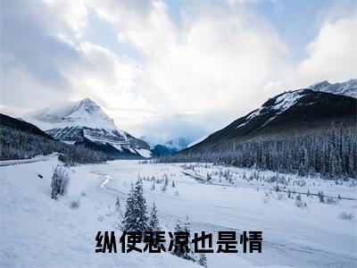 沈羿琛（纵使悲凉也是情）全文免费阅读无弹窗大结局_纵使悲凉也是情_笔趣阁