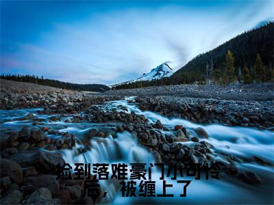 卫米苏打免费阅读无弹窗大结局-捡到落难豪门小可怜后，被缠上了最新全章节全文阅读免费阅读-笔趣阁