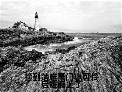 捡到落难豪门小可怜后被缠上了全文免费阅读无弹窗大结局，卫米苏打小说最新章节