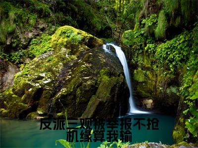 温郁宁晚最新章节（反派三观被举报不抢机缘算我输小说）全文免费阅读无弹窗大结局_反派三观被举报不抢机缘算我输小说免费阅读（温郁宁晚）
