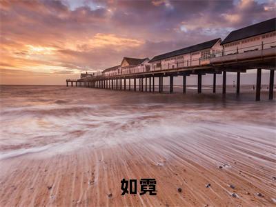 如霓全文免费阅读大结局_从霓林匪已完结全集如霓大结局小说
