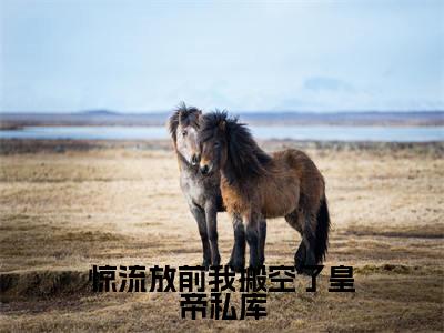 楚辞（惊流放前我搬空了皇帝私库）全文免费阅读无弹窗大结局_惊流放前我搬空了皇帝私库最新章节列表_笔趣阁（楚辞）