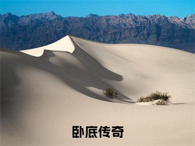 卧底传奇全本资源免费阅读结局无删节-陆贤风小说全文阅读无弹窗（卧底传奇）
