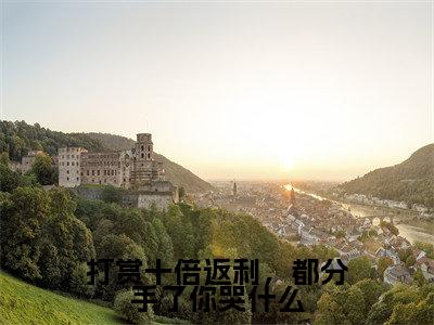 打赏十倍返利，都分手了你哭什么全文免费阅读-（姜时愿）小说全文免费阅读正版无弹窗
