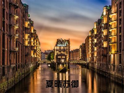 夏晴苏御（苏御夏晴）小说多人阅读-小说苏御夏晴在哪里看免费