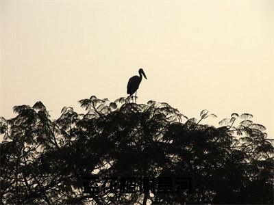 蓝花楹谢星河免费小说（蓝花楹谢星河）全文无弹窗阅读蓝花楹谢星河大结局免费阅读无弹窗