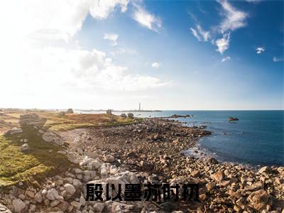 殷以墨苏时初全文免费阅读-苏时初殷以墨小说（殷以墨苏时初）免费阅读全文