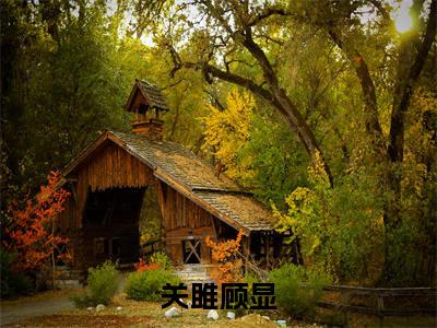 小说（关雎顾显）关雎顾显全文阅读_小说关雎顾显免费阅读（关雎顾显）笔趣阁