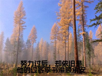努力过后，却依旧是他的过客李书渝顾承安全网首发最新小说-李书渝顾承安全文在线免费阅读