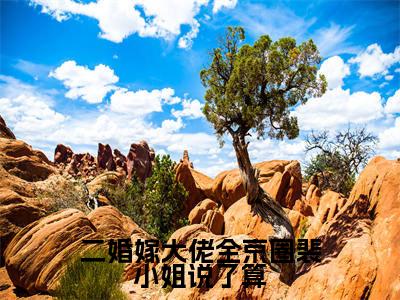 霍霆熙裴染（二婚嫁大佬全京圈裴小姐说了算）免费小说完整版阅读-（霍霆熙裴染）最新章节在线阅读