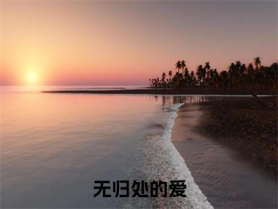 苏眠宋临深（无归处的爱）小说全文-无归处的爱小说免费阅读大结局