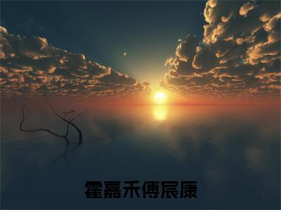 霍嘉禾傅宸康小说全文免费阅读无弹窗大结局-霍嘉禾傅宸康小说在哪里可以看