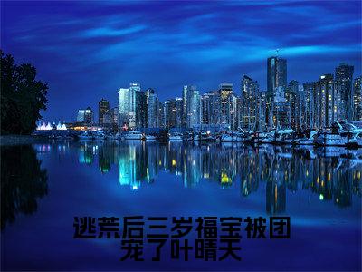 逃荒后三岁福宝被团宠了叶晴天小说（叶晴天）全文免费阅读无弹窗大结局_逃荒后三岁福宝被团宠了叶晴天小说免费阅读最新章节列表笔趣阁（叶晴天）