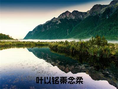 叶以铭秦念柔小说（秦念柔叶以铭）全文免费叶以铭秦念柔阅读无弹窗大结局-（秦念柔叶以铭）笔趣阁