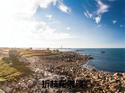 折枝花满暄（折枝花满暄）小说在线阅读_折枝花满暄全本免费小说阅读（林司念）