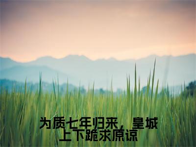为质七年归来，皇城上下跪求原谅全文免费阅读大结局-（晏九黎轩辕墨）最新章节列表在线阅读