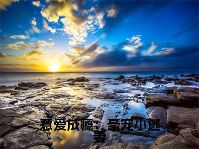 惹爱成瘾：豪宠小逃妻（苏蓉）笔趣阁免费小说_惹爱成瘾：豪宠小逃妻笔趣阁最新章节苏蓉免费在线阅读大结局
