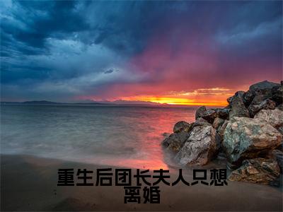 重生后团长夫人只想离婚（宋今禾顾鸿业）全文免费阅读无弹窗大结局_宋今禾顾鸿业免费阅读最新章节列表_笔趣阁