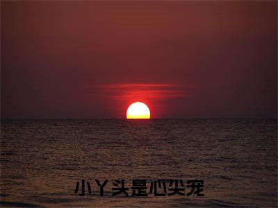小说小丫头是心尖宠免费阅读-（刘乐萱沈易）小丫头是心尖宠最新章节小说阅读-笔趣阁