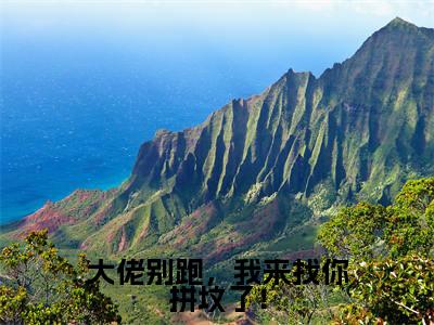大佬别跑，我来找你拼坟了！全文免费阅读大结局_江愿顾清衍已完结全集大佬别跑，我来找你拼坟了！大结局小说