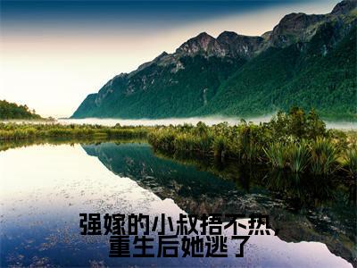 陆昭礼（强嫁的小叔捂不热，重生后她逃了）全文免费阅读无弹窗大结局_陆昭礼完整章节阅读