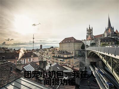 （团宠小奶包：我在人间攒功德）温珈洛新书热荐免费小说-温珈洛小说全文完整版阅读