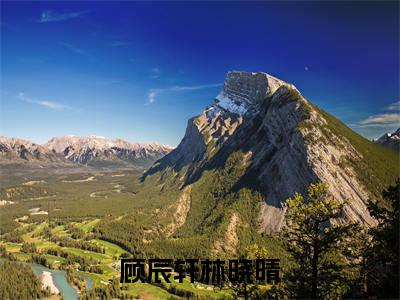 顾辰轩林晓晴（林晓晴顾辰轩全文在线阅读）-顾辰轩林晓晴免费阅读