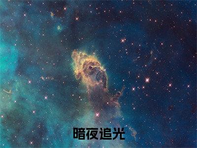暗夜追光小说全文-江舟楚城无弹窗免费阅读