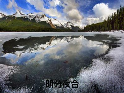 明分夜合（枕月秦珩洲）全文免费阅读大结局_（枕月秦珩洲免费阅读）明分夜合全文在线完本阅读
