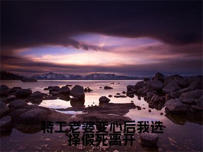许远舟江雪曦（许远舟江雪曦）小说全文免费阅读正版无弹窗_特工老婆变心后我选择假死离开小说免费阅读全文无弹窗_笔趣阁